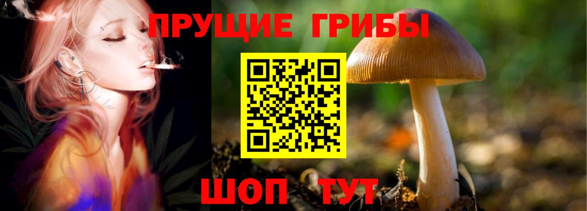 Азнакаево  Псилоцибиновые грибы MAGIC MUSHROOMS  Псилоцибиновые грибы Cubensis  Вход с VPN 